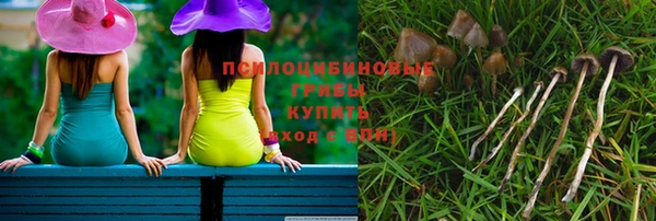 винт Алексеевка
